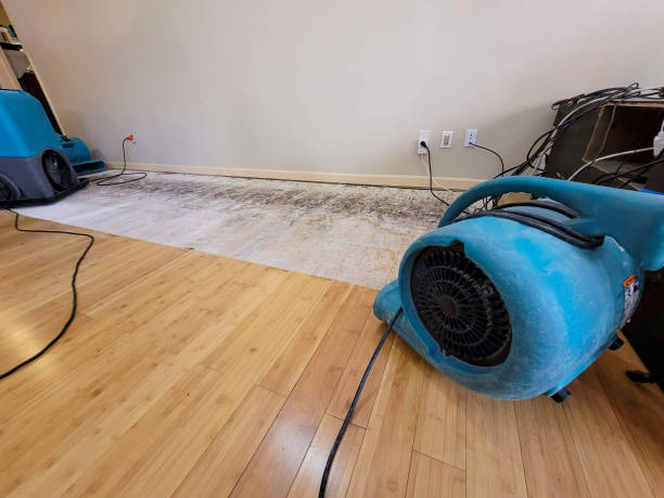 Professional Structural Drying technician working in Awendaw, SC